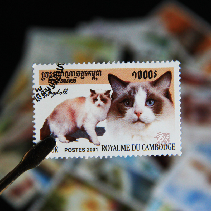 50 Different Cats Stamps 50 No - Collectible Vintage Postage Stamps recensie en prijs