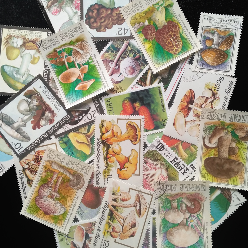 100 Different Original Mushroo - Collectible Vintage Postage Stamps recensie en prijs