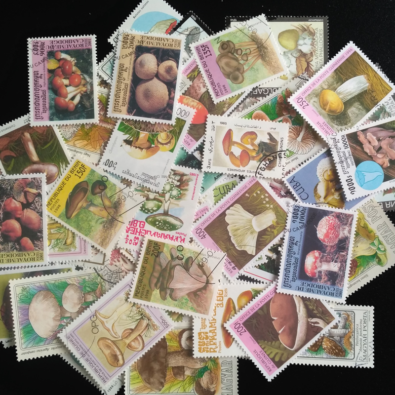 100 Different Original Mushroo - Collectible Vintage Postage Stamps recensie en prijs