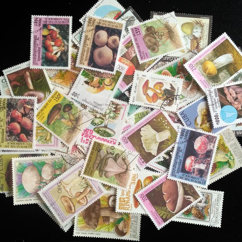 100 Different Original Mushroo - Collectible Vintage Postage Stamps recensie en prijs