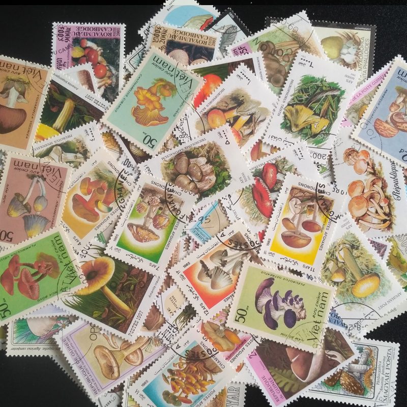 100 Different Original Mushroo - Collectible Vintage Postage Stamps recensie en prijs